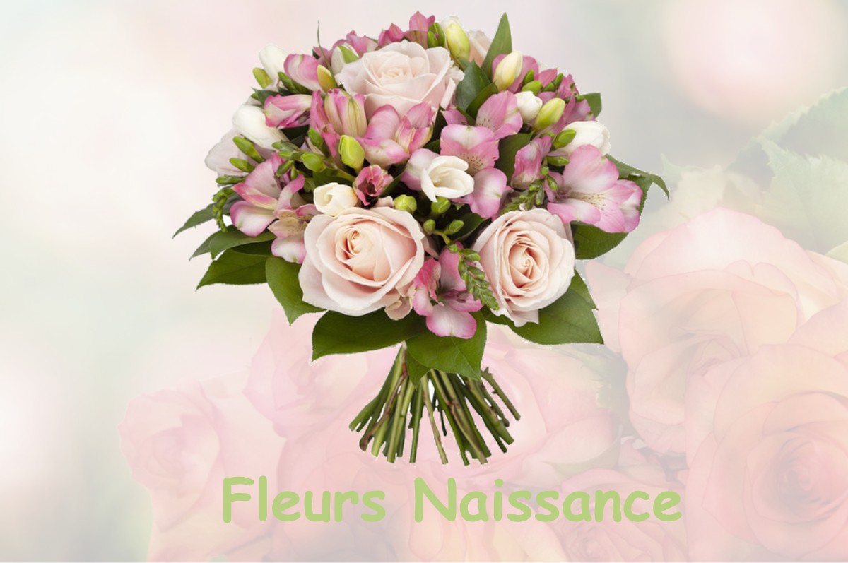 fleurs naissance BRISSY-HAMEGICOURT
