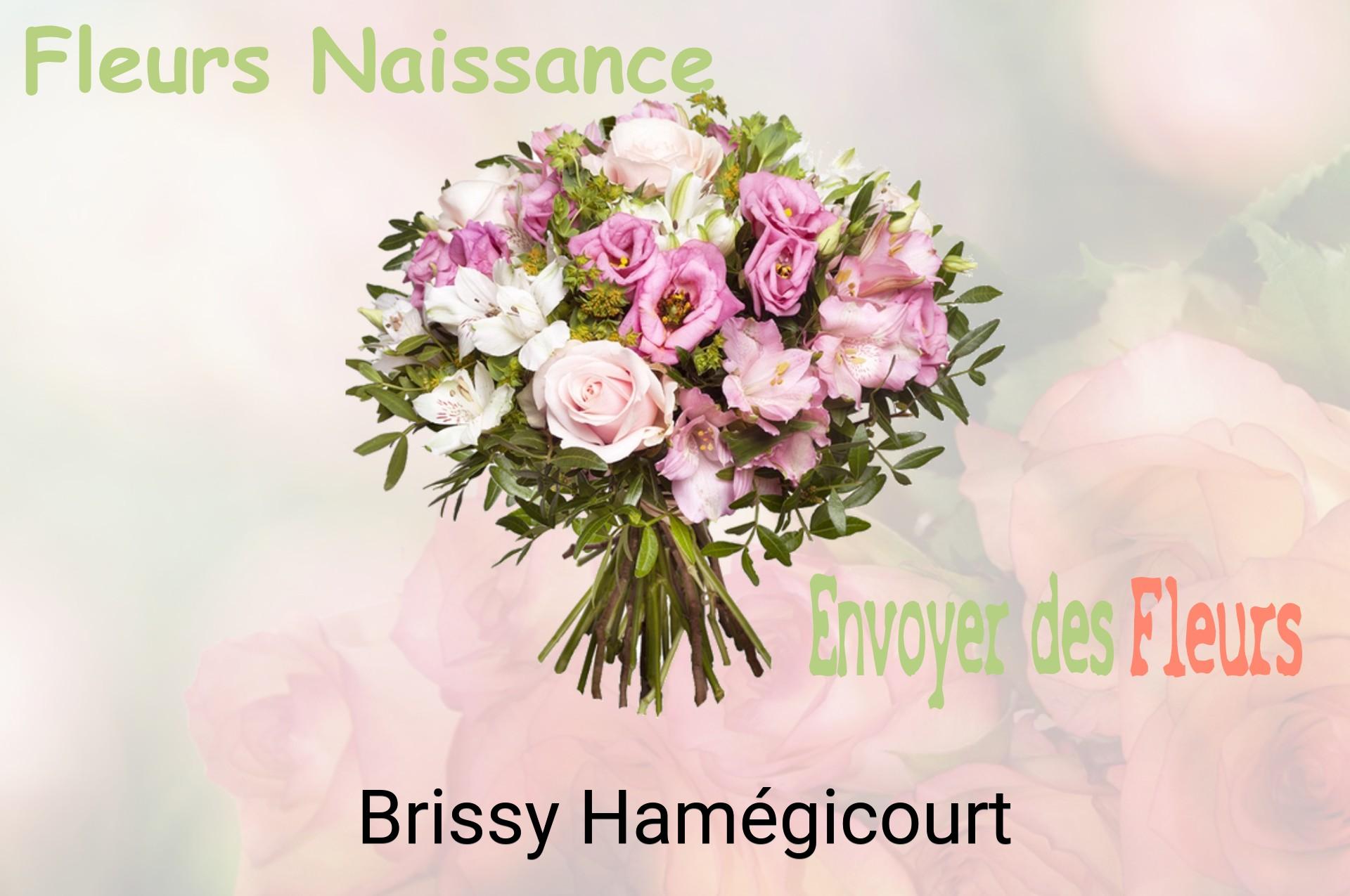 Bouquet de fleurs de naissance livré à Brissy-Hamégicourt