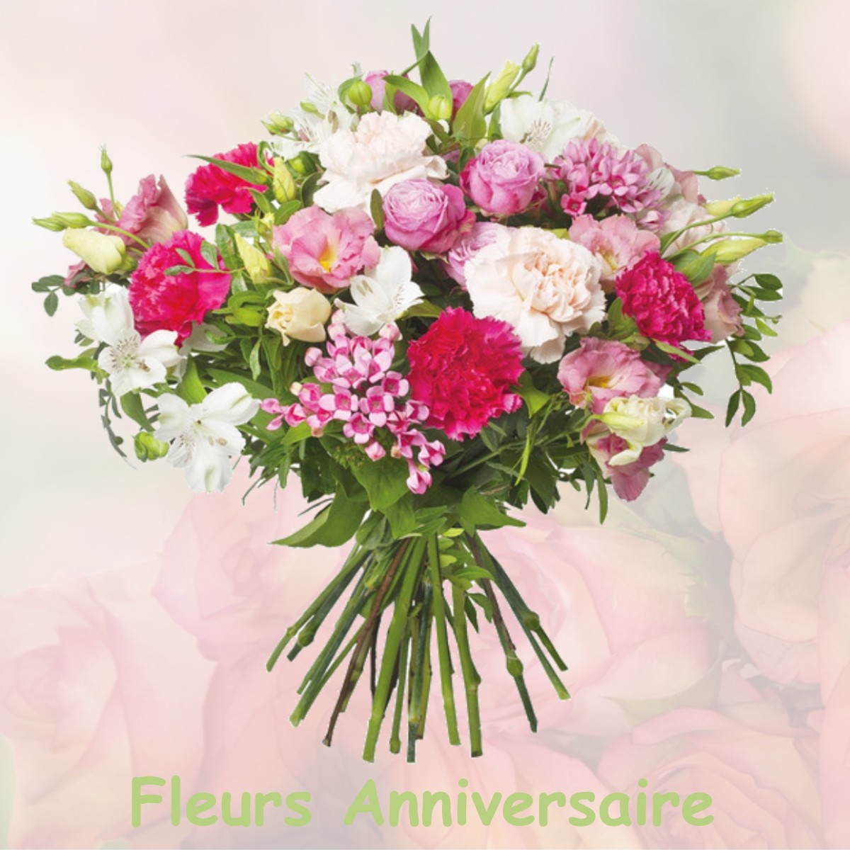 fleurs anniversaire BRISSY-HAMEGICOURT